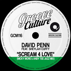 Scream 4 Love (Micky More & Andy Tee Jazz Mixes)