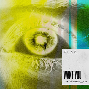 Want You (TVLA REMIX)