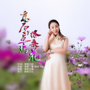 高原卓玛格桑花