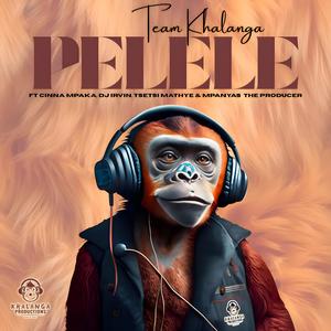PELELE (feat. Cinna Mpaka, DJ Irvin, TSETSI MATHYE & MPANYAS THE PRODUCER|Special Version)