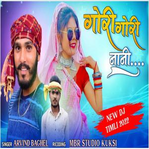 Gori Gori Nani(feat. Arvind Baghel)