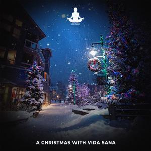 A Christmas with Vida Sana