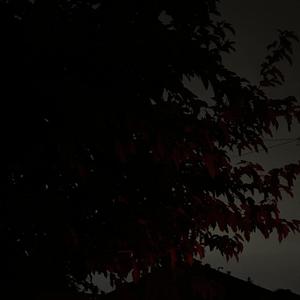 Origami - LOSINGMYMIND2 (Explicit)