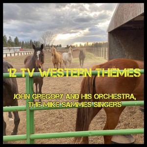 12 TV Western Themes