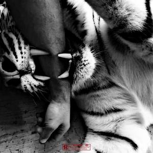 Animal (feat. Emanz) (Explicit)