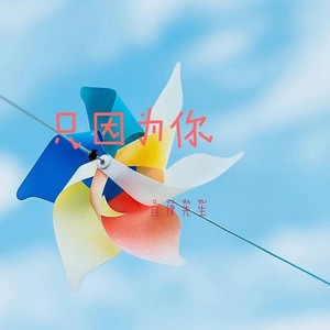 礼貌