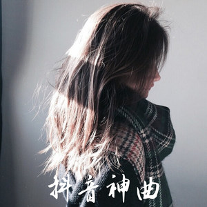 社会摇回顾经典 (DJ版)