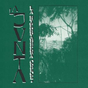 La hierbabuena crece