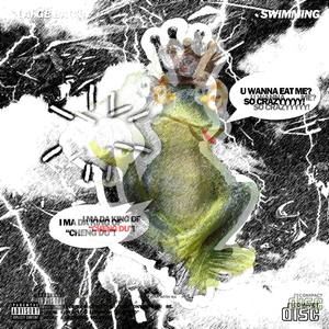 连麻Swimming-癞疙宝 (黑猫HM Remix)