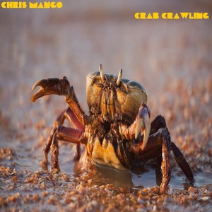 CRAB CRAWLING (Instrumental Version)