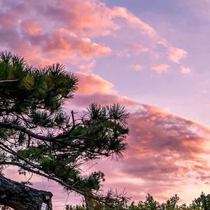 迪士尼在逃公主