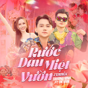 Rước Dâu Miệt Vườn (Remix)