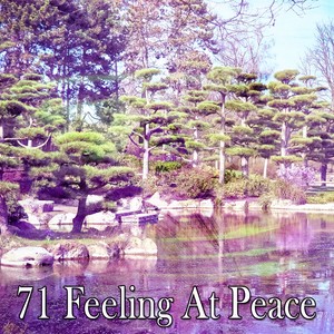 71 Feeling at Peace