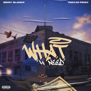 What U Need (feat. Tarxan Fenix) [Explicit]