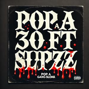 POP A 30 (NFR_MDot,NFR_slipza) (Explicit)