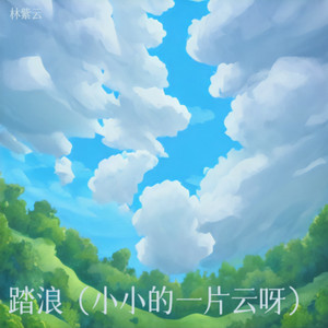 踏浪封面