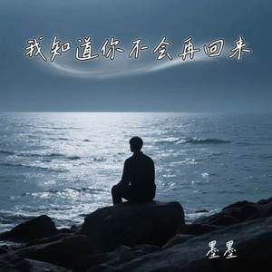 我知道你不会再回来