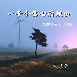 一千个伤心的理由（爱过的人我已不再拥有）