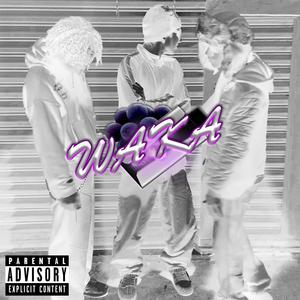 WAKA (feat. gho$tii & Jøz) (Explicit)