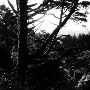 ENCONTREI dEUS (feat. Bica) (Explicit)