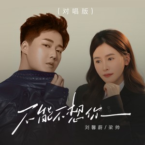 不能不想你 (对唱版)