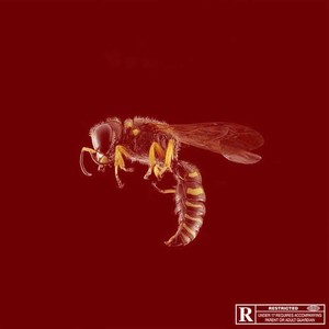 Dingue (Remix|Explicit)