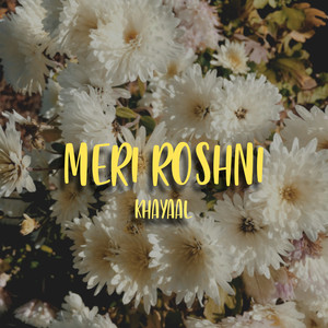 Meri Roshni