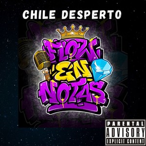 Chile Desperto (Explicit)