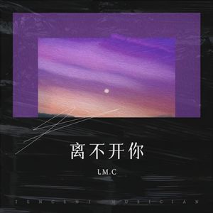 你的样子
