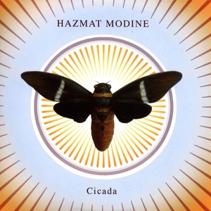 Cicada