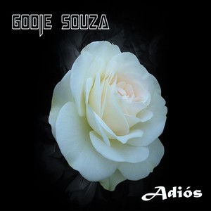 Adiós