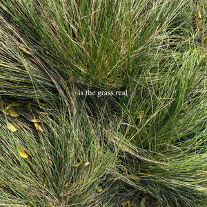 is the grass real