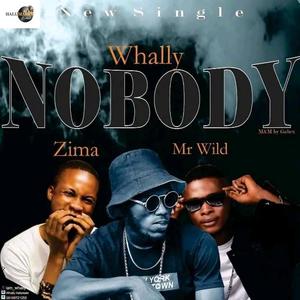 Nobody (feat. Wizkid, Zima & Mr Wild) [Explicit]