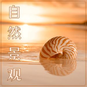 湖边封面