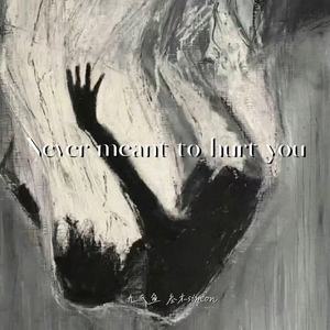 Never meant to hurt you