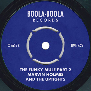 The Funky Mule Part 2