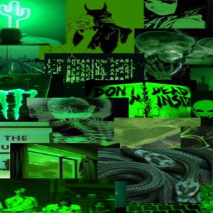 SNAKES (feat. 302Gee & Lil Pox) (Explicit)