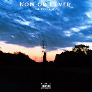 Now or Never, Vol. 1 (Explicit)