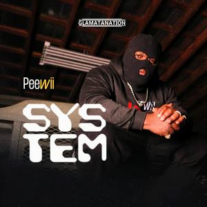 System (Explicit)