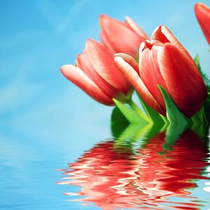 Ba Motsiyeri(feat. Judgement fire & M Dey)