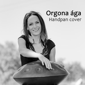 Orgona ága (Handpan cover)