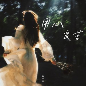 用心良苦封面
