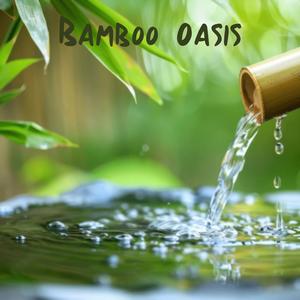 Bamboo Oasis: Calming Water Flowing Sounds for Sleep Meditation