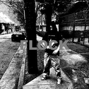 flock (Slowed) (Explicit)