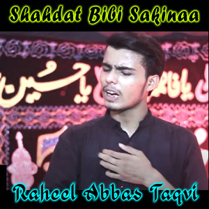 Shahdat Bibi Sakinaa - Single