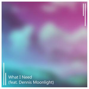 What I Need (feat. Dennis Moonlight)