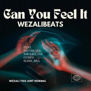 Can You Feel It (feat. D3ftBeatzSA, Thulily, Jay Cubed & Slish_RSA)