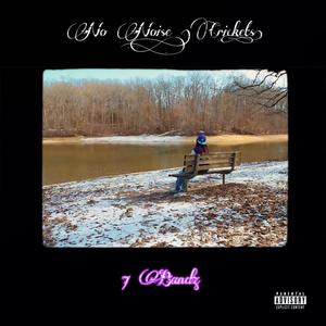 No Noise (Crickets) (Explicit)