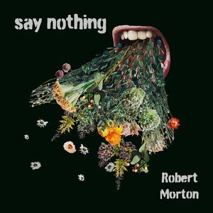 Say Nothing