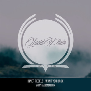 Want You Back (Vicent Ballester Remix)